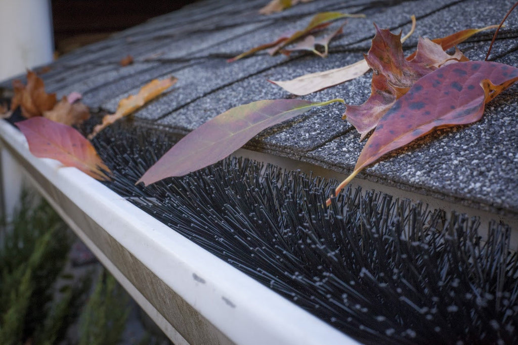 GutterBrush blocking leaves from entering gutter